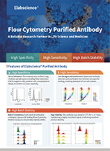 Flow Cytometry Puried Antibody (Flyer-2025)